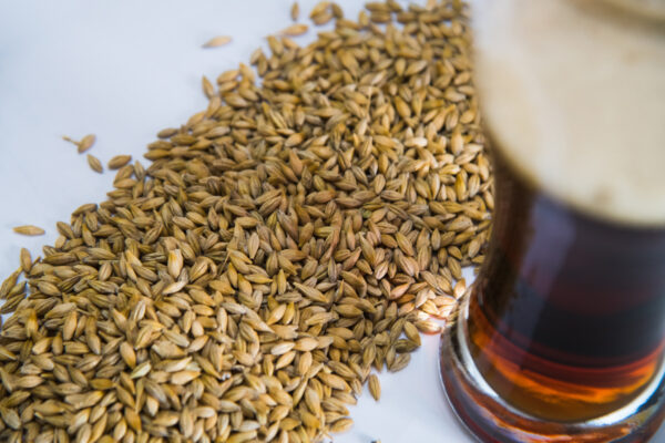 Malt in Craft Beer