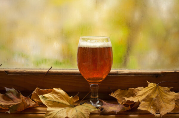 Craft beer news for November